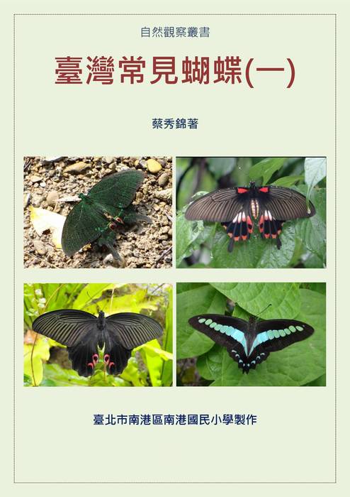 臺灣常見蝴蝶(一)1110505
