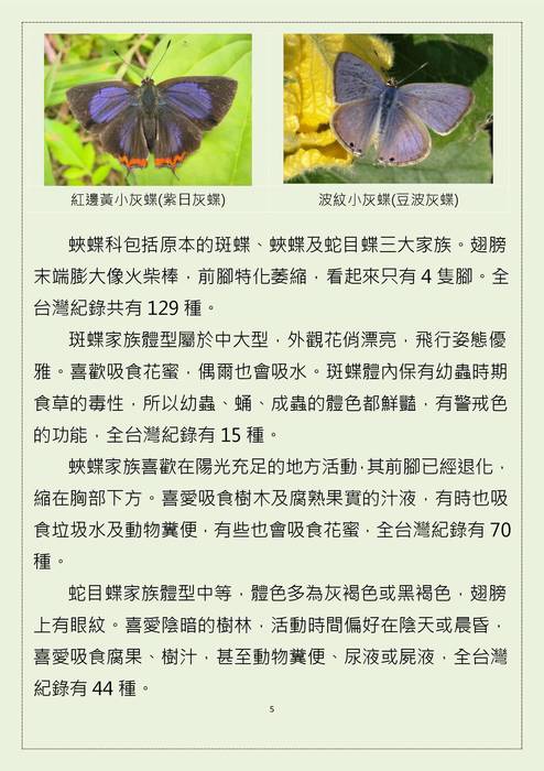 臺灣常見蝴蝶(一)1110505