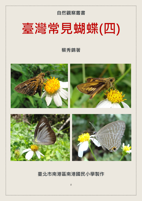 臺灣常見蝴蝶(四)