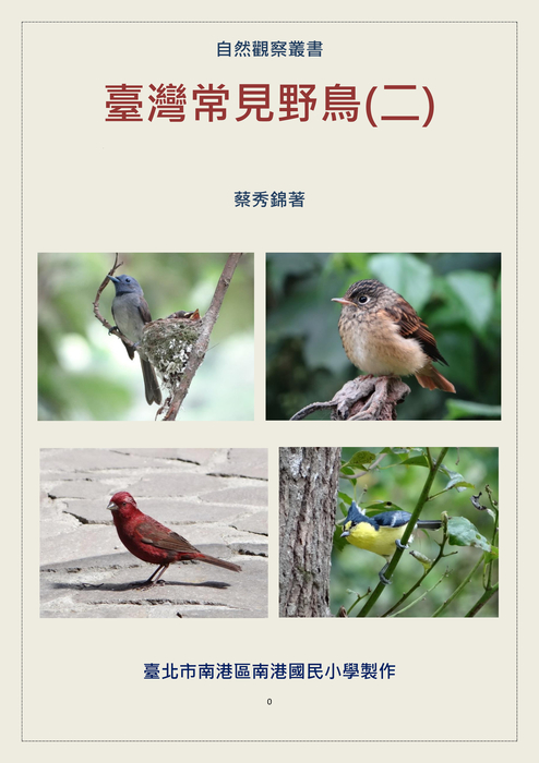 臺灣常見鳥類(二)