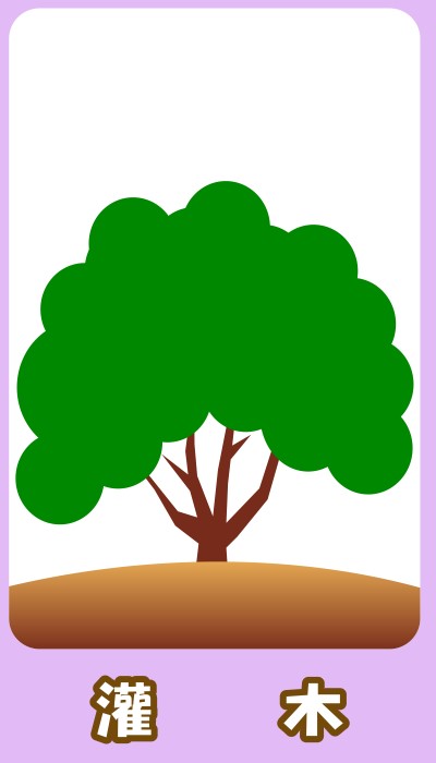 6_型態2-灌木